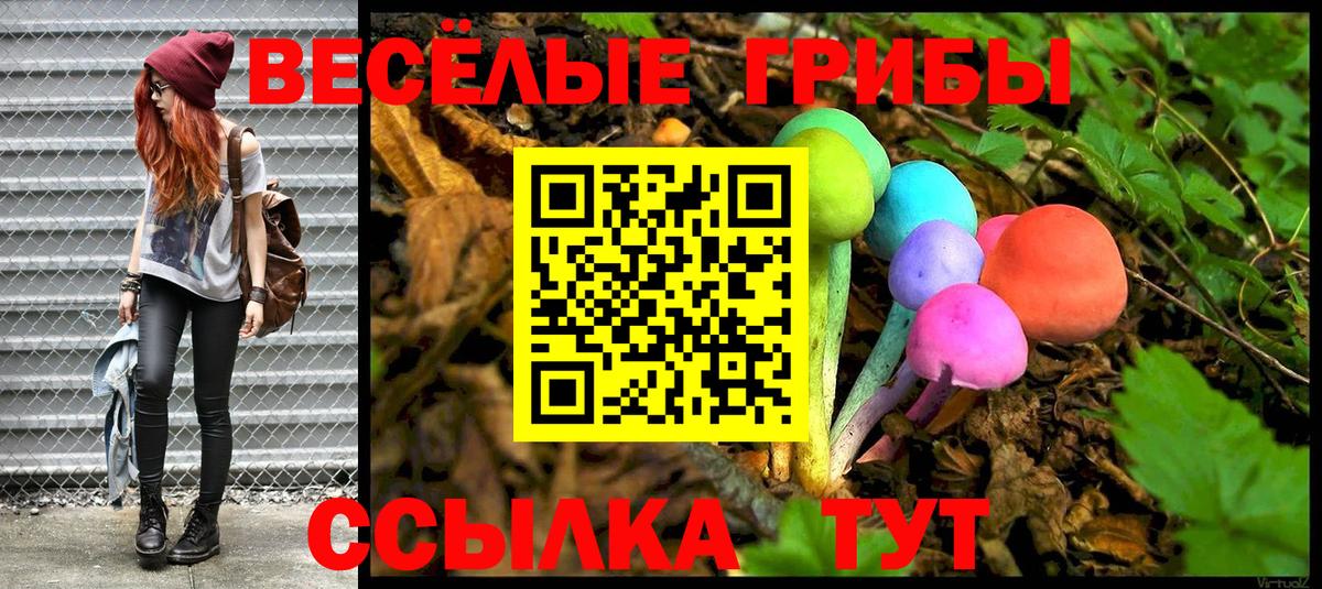 Псилоцибиновые грибы Magic Shrooms Прохладный