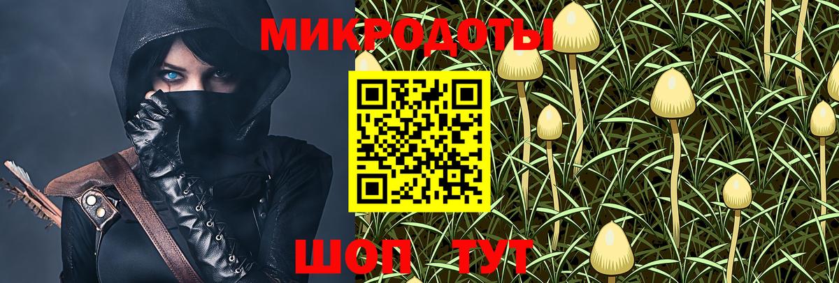 Галлюциногенные грибы прущие грибы  Вход с VPN  Псилоцибиновые грибы ЛСД  Прохладный 